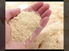 WPCは耐火性壁パネルの工場防止直売および湿気にフルーティングを施した