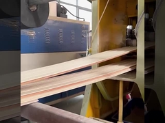 WPCの防止防音の壁パネルの工場直接防水および湿気